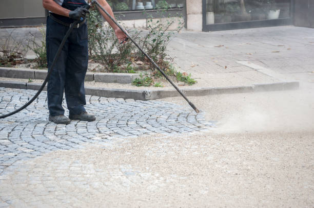 Best Driveway Pressure Washing  in Westminster, CA